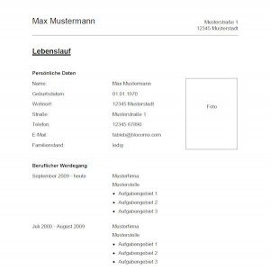 Vorlage / Muster: Vorlage 1