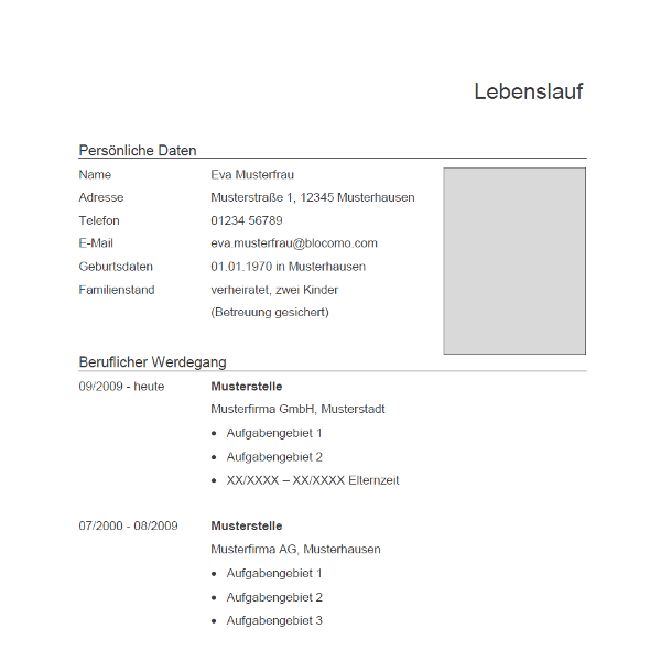 Lebenslauf Fur Die Schweiz Muster Hinweise Tipps