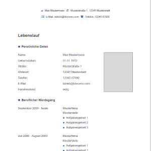 114 Lebenslauf Muster Vorlagen 2020 Kostenlos Als Download